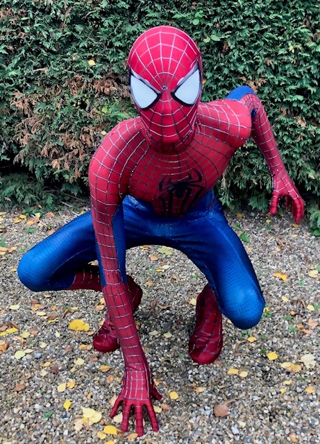 Unique Spiderman Party